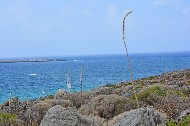 Costa marina / Sea Coast. Falassarna. Crete Island. Greece.